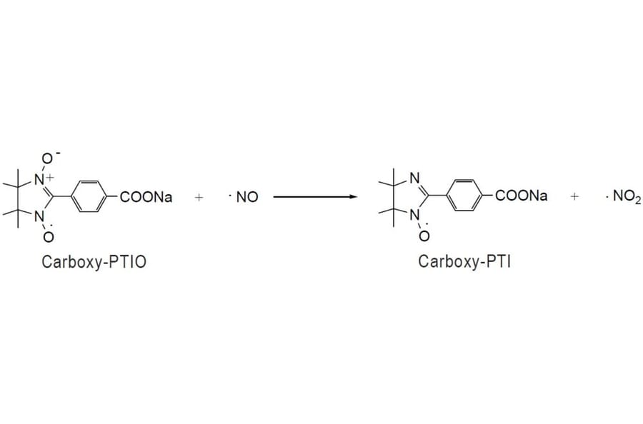 Diagram - Carboxy-PTIO - Nitric Oxide Scavenger (A57452) - Antibodies.com