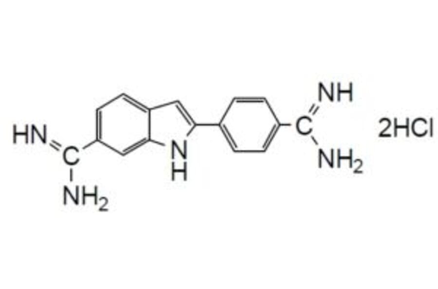 Structure - Bacstain™ DAPI - Solution (A57468) - Antibodies.com