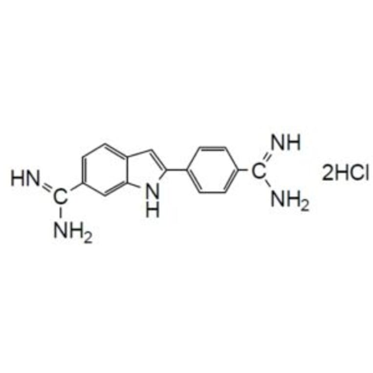 Structure - Bacstain™ DAPI - Solution (A57468) - Antibodies.com