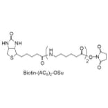 Structure - Biotin-(AC5)2-OSu - NHS Ester (A57479) - Antibodies.com