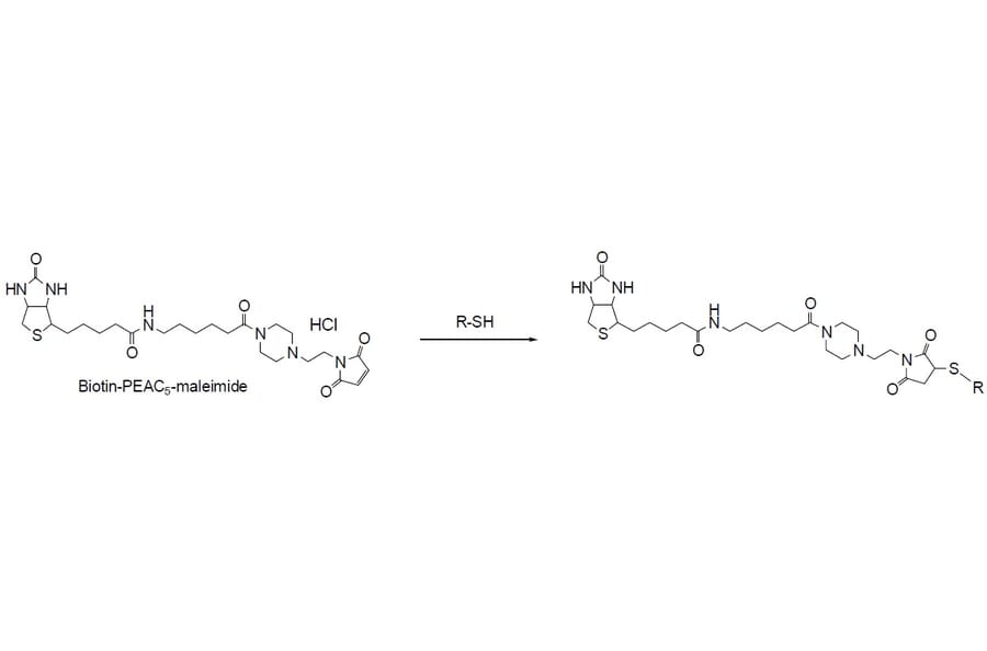 Diagram - Biotin-PEAC5-Maleimide - Thiol Reactive (A57483) - Antibodies.com
