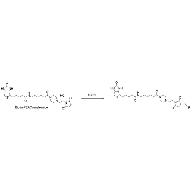 Diagram - Biotin-PEAC5-Maleimide - Thiol Reactive (A57483) - Antibodies.com