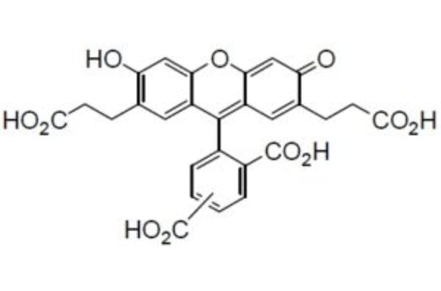 Structure - BCECF - pH Indicator Dye (A57488) - Antibodies.com
