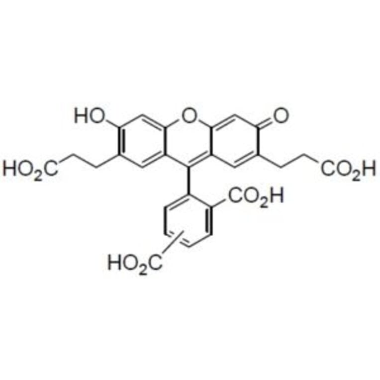 Structure - BCECF - pH Indicator Dye (A57488) - Antibodies.com