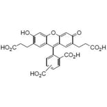 Structure - BCECF - pH Indicator Dye (A57488) - Antibodies.com