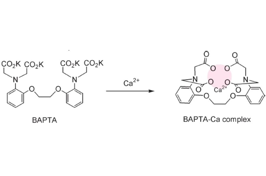 Structure - BAPTA - Calcium Chelator (A57494) - Antibodies.com