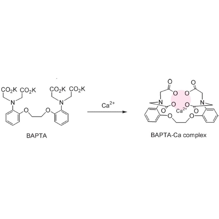 Structure - BAPTA - Calcium Chelator (A57494) - Antibodies.com