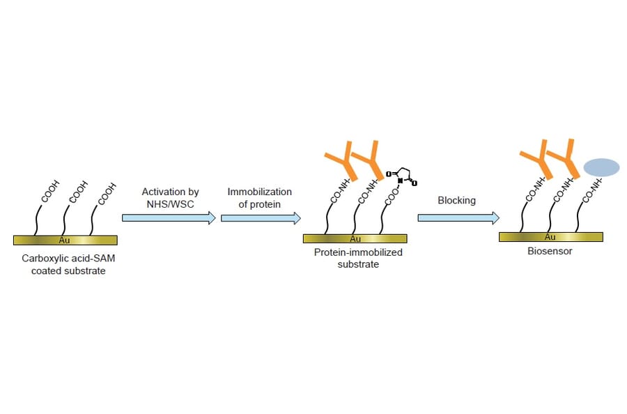 Diagram - Amine Coupling Kit (A57503) - Antibodies.com