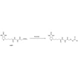 Diagram - ARP - Aldehyde Reactive Probe (A57517) - Antibodies.com