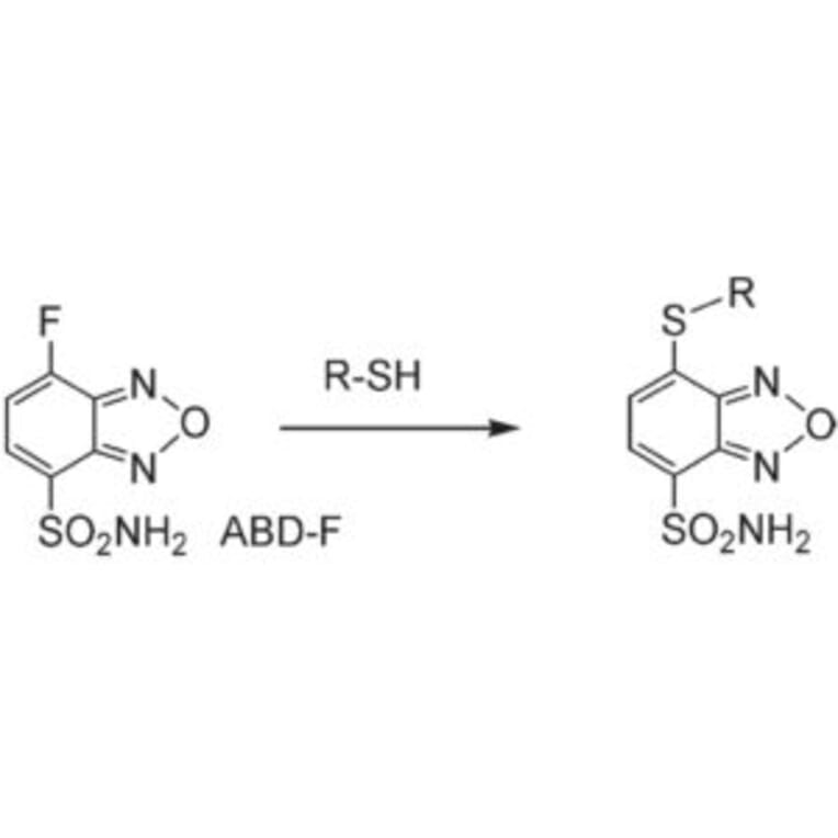 Diagram - ABD-F - Thiol Detection Reagent (A57518) - Antibodies.com