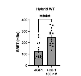 BRET Assay - Recombinant Human IGF1 Protein - Antibodies.com