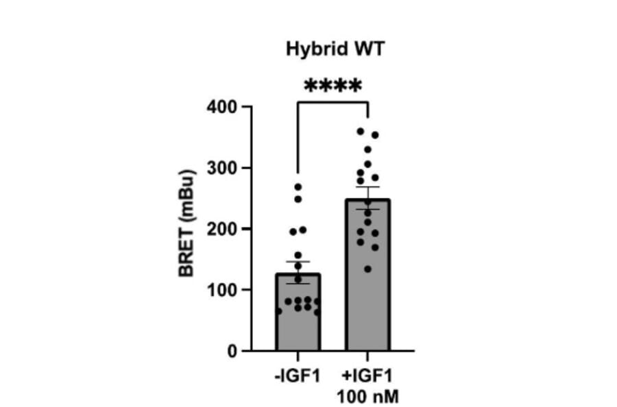 BRET Assay - Recombinant Human IGF1 Protein - Antibodies.com
