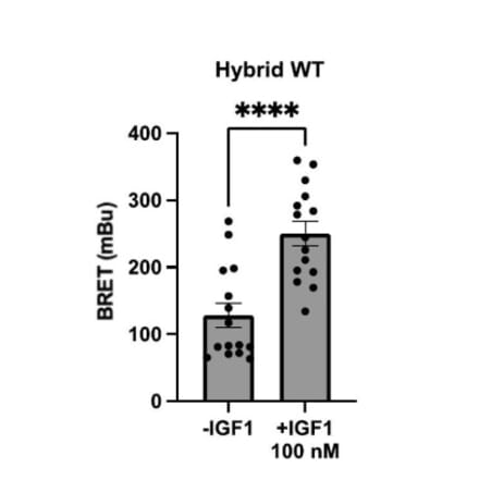 BRET Assay - Recombinant Human IGF1 Protein - Antibodies.com