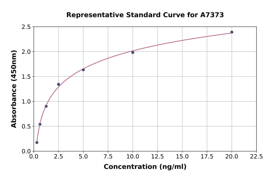 Standard Curve - Rat PER2 ELISA Kit (A7373) - Antibodies.com