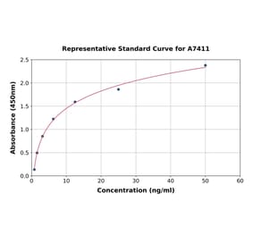 Standard Curve - Human Ryanodine Receptor ELISA Kit (A7411) - Antibodies.com
