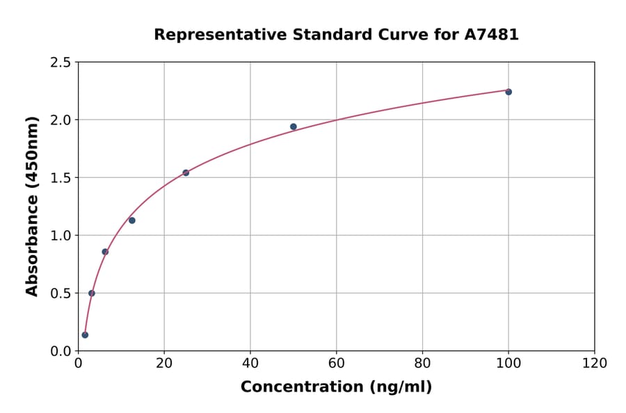 Standard Curve - Rat HSP90 beta ELISA Kit (A7481) - Antibodies.com