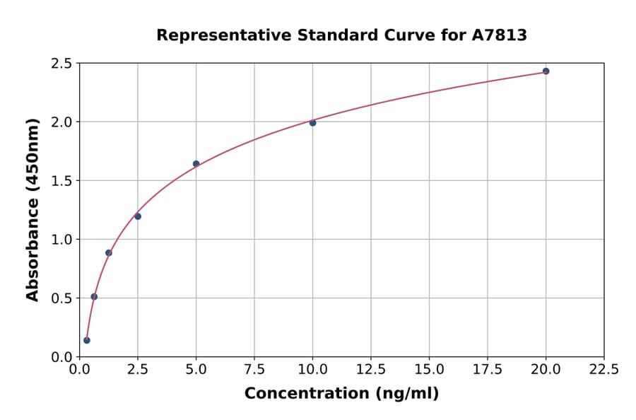 Standard Curve - Human OXCT1/SCOT ELISA Kit (A7813) - Antibodies.com
