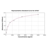 Standard Curve - Rat MGMT ELISA Kit (A7937) - Antibodies.com