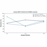 Linearity - Human BAFF-R ELISA Kit (A73800) - Antibodies.com