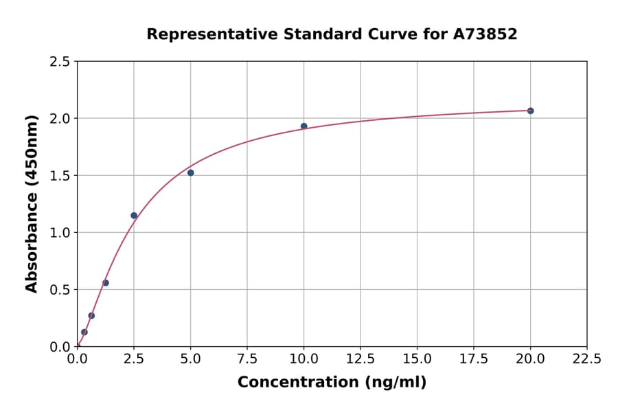 Standard Curve - Guinea Pig TIMP2 ELISA Kit (A73852) - Antibodies.com