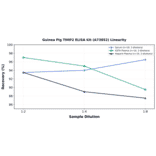 Linearity - Guinea Pig TIMP2 ELISA Kit (A73852) - Antibodies.com