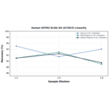 Linearity - Human GSTM2 ELISA Kit (A73915) - Antibodies.com