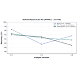Linearity - Human Hsp27 ELISA Kit (A74002) - Antibodies.com