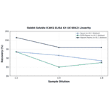 Linearity - Rabbit Soluble ICAM1 ELISA Kit (A74042) - Antibodies.com