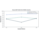 Linearity - Mouse BAFF ELISA Kit (A74059) - Antibodies.com