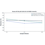 Linearity - Human NF-kB p65 ELISA Kit (A74099) - Antibodies.com