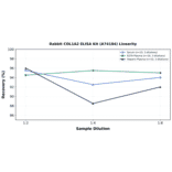 Linearity - Rabbit COL1A2 ELISA Kit (A74184) - Antibodies.com