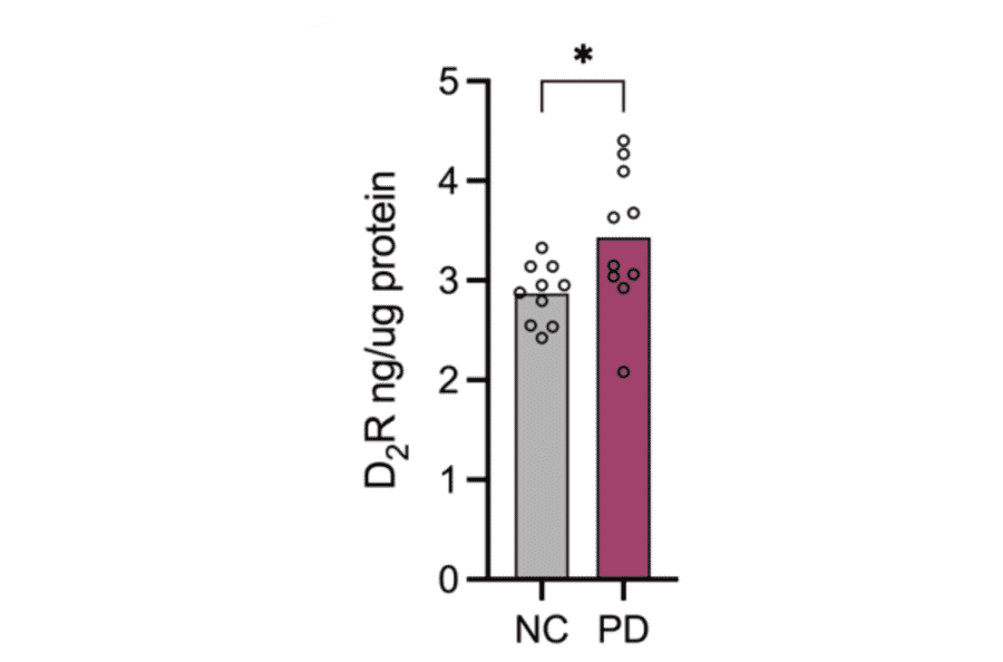 Validation Data - Human Dopamine D2 Receptor ELISA Kit (A74190)