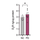 Validation Data - Human Dopamine D2 Receptor ELISA Kit (A74190)