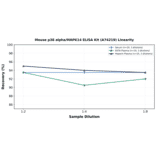 Linearity - Mouse p38 alpha/MAPK14 ELISA Kit (A74219) - Antibodies.com
