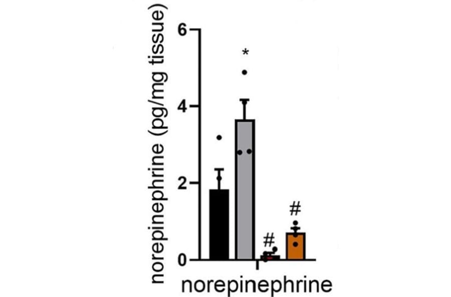 ELISA - Noradrenaline/Norepinephrine ELISA Kit (A74229) - Publication