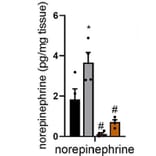 ELISA - Noradrenaline/Norepinephrine ELISA Kit (A74229) - Publication
