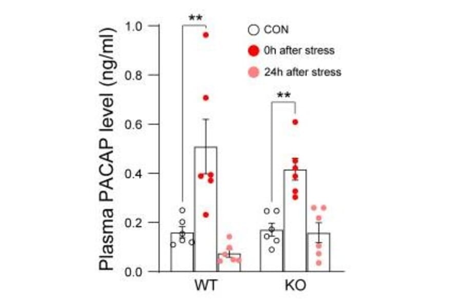 ELISA - Mouse PACAP-38 ELISA Kit - Antibodies.com