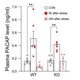 ELISA - Mouse PACAP-38 ELISA Kit - Antibodies.com