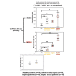 Validation Data - Human PD-L1 ELISA Kit (A74243)