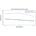 Linearity - Human DR5 ELISA Kit (A74273) - Antibodies.com