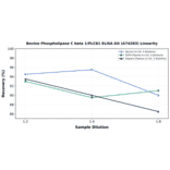 Linearity - Bovine Phospholipase C beta 1/PLCB1 ELISA Kit (A74283) - Antibodies.com