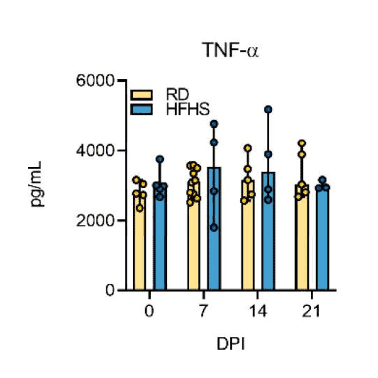 ELISA - Hamster TNF alpha ELISA Kit - Antibodies.com