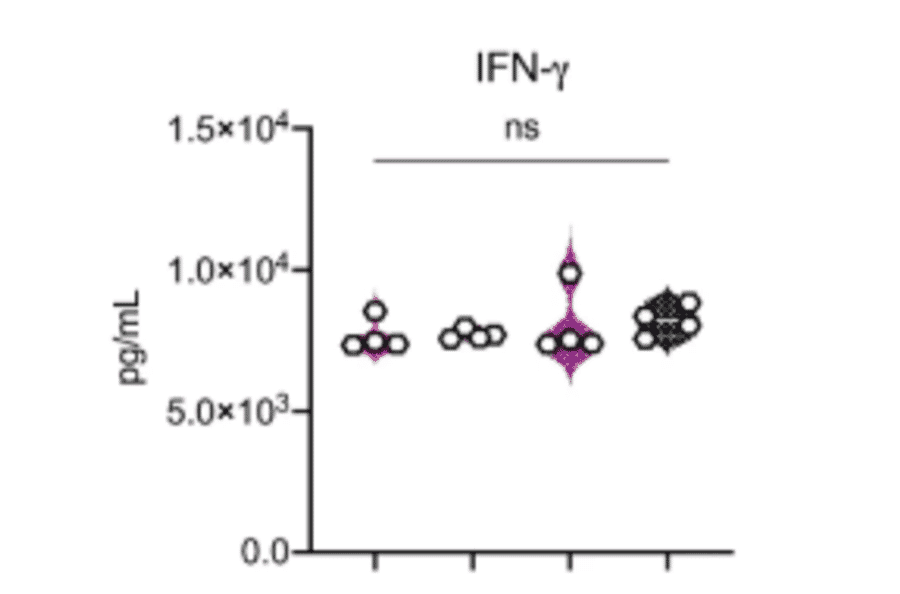 ELISA - Hamster Interferon gamma ELISA Kit - Antibodies.com