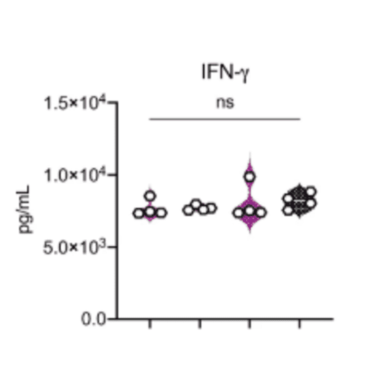 ELISA - Hamster Interferon gamma ELISA Kit - Antibodies.com