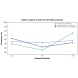 Linearity - Rabbit Caspase-3 ELISA Kit (A74360) - Antibodies.com