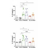 ELISA - Rabbit IL-10 ELISA Kit - Antibodies.com