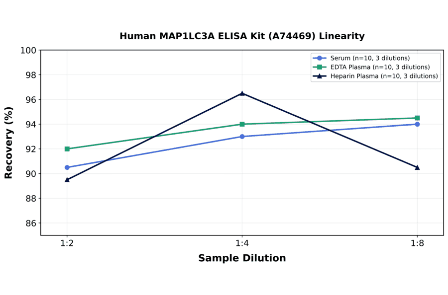 Linearity - Human MAP1LC3A ELISA Kit (A74469) - Antibodies.com