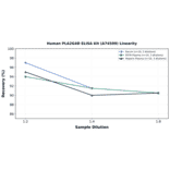 Linearity - Human PLA2G4D ELISA Kit (A74509) - Antibodies.com