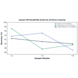 Linearity - Human PPP1R14B/PNG ELISA Kit (A74513) - Antibodies.com