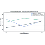 Linearity - Human Ribonuclease T2 ELISA Kit (A74520) - Antibodies.com
